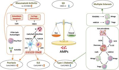 The Dual Role of Antimicrobial Peptides in Autoimmunity